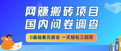 网创搬砖项目，国内问卷调查，小白轻松上手，一天三四张的也不难，干就完了【揭秘】-巴七创客网
