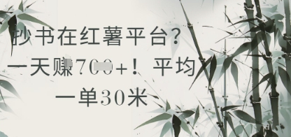 抄书在小红薯平台？平均一单30米，一天收益几张！-巴七创客网