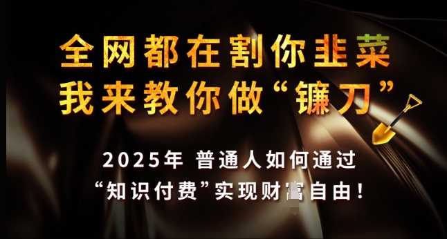 全网都在割你韭菜，我来教你做镰刀，2025年普通人如何通过 知识付费 实现财F自由【揭秘】-巴七创客网