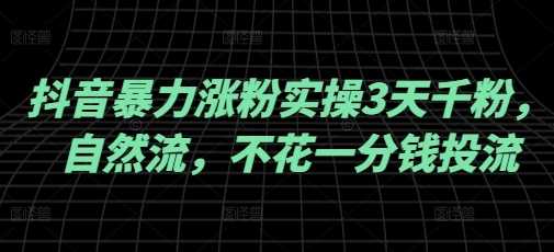 抖音暴力涨粉实操3天千粉，自然流，不花一分钱投流，实操经验分享-巴七创客网
