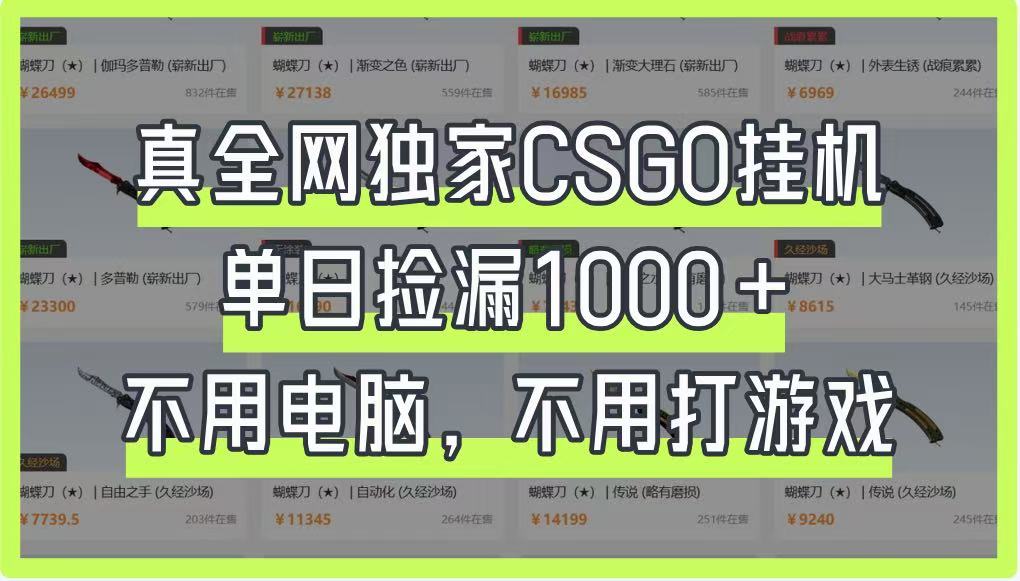 真全网独家CSGO挂机，单日捡漏1000+，不用电脑，不用养号-巴七创客网