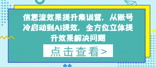 信息流效果提升集训营，从账号冷启动到AI提效，全方位立体提升效果解决问题-巴七创客网