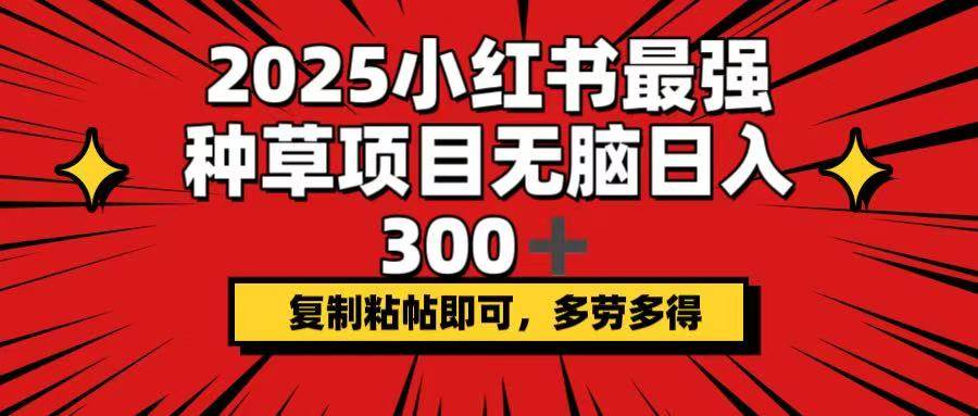 （14375期）2025小红书最强种草项目，无脑日入300+，复制粘帖即可，多劳多得-巴七创客网