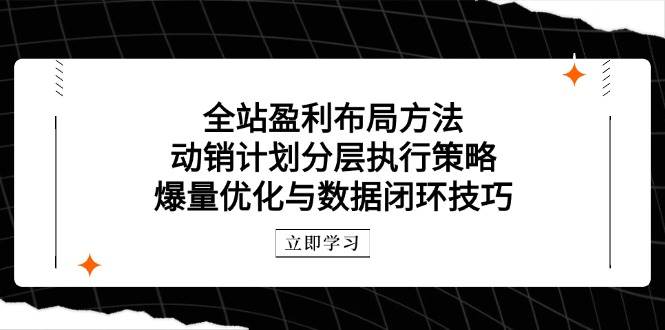 （14698期）全站盈利布局方法：动销计划分层执行策略，爆量优化与数据闭环技巧-巴七创客网