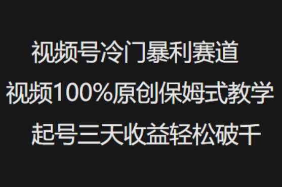 视频号冷门暴利赛道视频100%原创保姆式教学起号三天收益轻松破千-巴七创客网