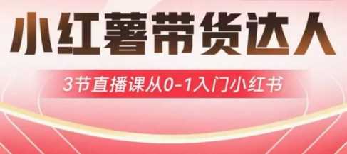 小红薯达人带货启航计划，3节直播课从0-1入门小红书-巴七创客网