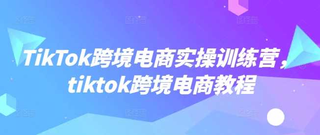TikTok跨境电商实操训练营，tiktok跨境电商教程-巴七创客网