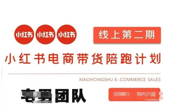 小红书电商带货课2期，月利润20个的小红书电商的有货源，无货源，虚拟产品，付费投流等整套玩法-巴七创客网