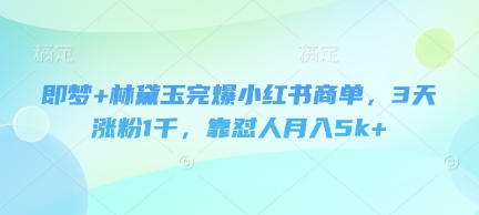 即梦+林黛玉完爆小红书商单，3天涨粉1千，靠怼人月入5k+-巴七创客网