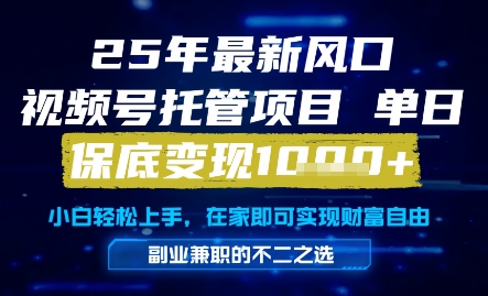25年最新风口，视频号托管项目，单日保底变现1k+，手把手教学【揭秘】-巴七创客网
