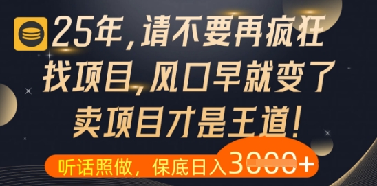 什么？25年你还在疯狂找项目做，醒醒吧，看完这些你全都懂了【揭秘】-巴七创客网
