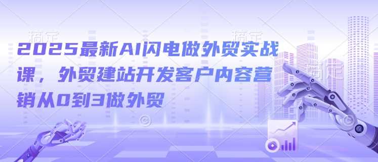 2025最新AI闪电做外贸实战课，外贸建站开发客户内容营销从0到3做外贸-巴七创客网