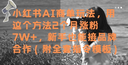 小红书AI商单玩法，用这个方法2个月涨粉7W+，新手也能接品牌合作(附全套指令模板)-巴七创客网