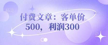 付费文章：客单价500，利润300-巴七创客网