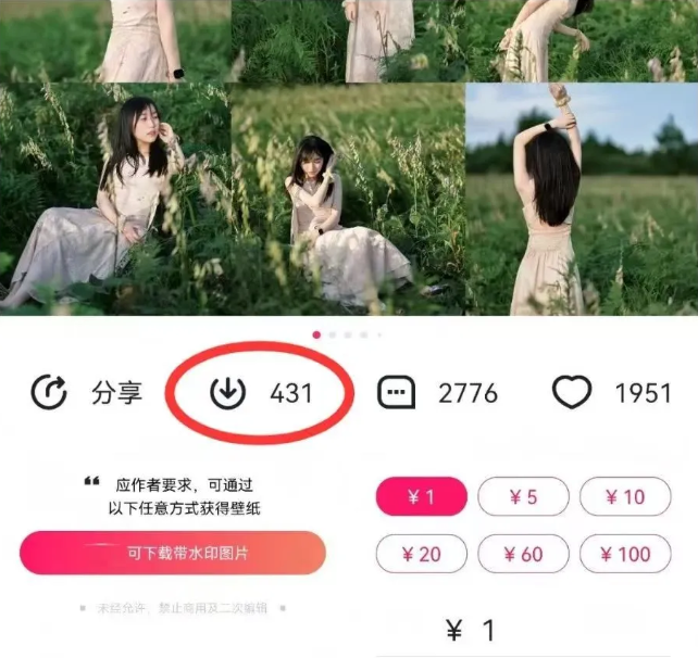 最新图虫搬运项目，收益无上限，利用AI小白也可日赚500+-巴七创客网