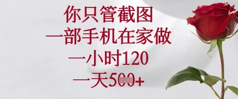 你只管截图，一部手机在家做，苹果安卓都可以，一小时120，一天5张+【揭秘】-巴七创客网
