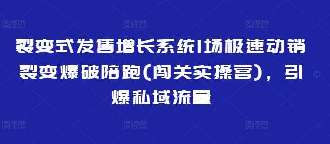 裂变式发售增长系统1场极速动销裂变爆破陪跑(闯关实操营)，引爆私域流量-巴七创客网