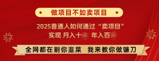 必看，做项目不如卖项目，2025普通人如何通过“卖项目”实现月入十个，年入百个-巴七创客网