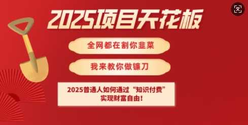 2025项目天花板普通人如何通过知识付费，实现财F自由【揭秘】-巴七创客网