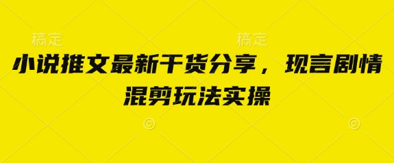 小说推文最新干货分享，现言剧情混剪玩法实操-巴七创客网