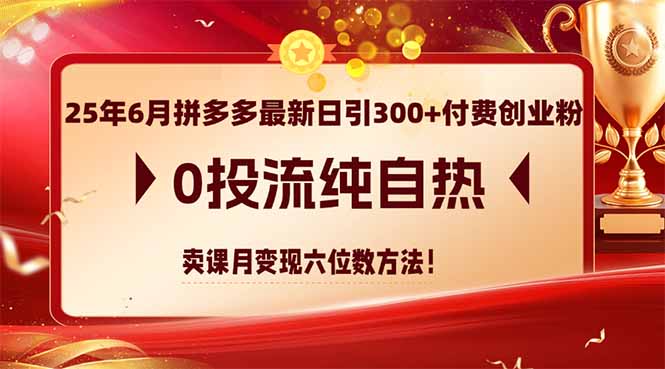 25年6月拼多多最新日引300+付费创业粉，0投流纯自热 卖课月变现六位数方法-巴七创客网