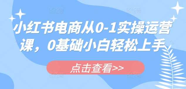小红书电商从0-1实操运营课，0基础小白轻松上手-巴七创客网