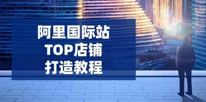 阿里国际站TOP店铺打造教程：涵盖平台到高阶，解决运营难题，提升询盘-巴七创客网