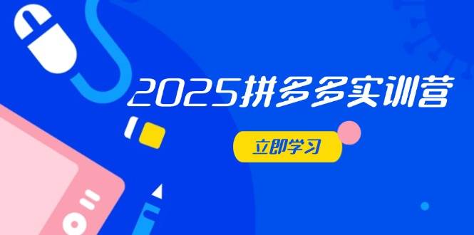 （14531期）2025拼多多实训营：深度剖析运营关键，助力电商人快速提升-巴七创客网