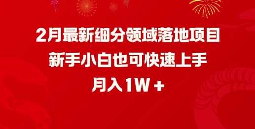 2月最新细分领域落地项目，新手小白也可快速上手，月入1W-巴七创客网