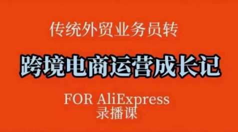 跨境电商速卖通运营课，运营方法论+后台实操，逻辑清晰-巴七创客网