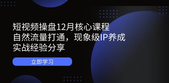 （14447期）短视频操盘12月核心课程：自然流量打通，现象级IP养成，实战经验分享-巴七创客网