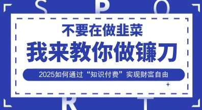 韭菜生涯终结者，我来教你做镰刀，2025如何通过“知识付费”实现财F自由【揭秘】-巴七创客网