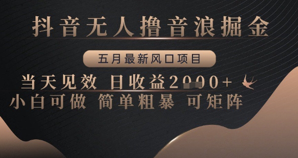 抖音无人撸音浪掘金，五月最新风口项目，当天见效，日收益多张，小白可做简单粗暴可矩阵【揭秘】-巴七创客网