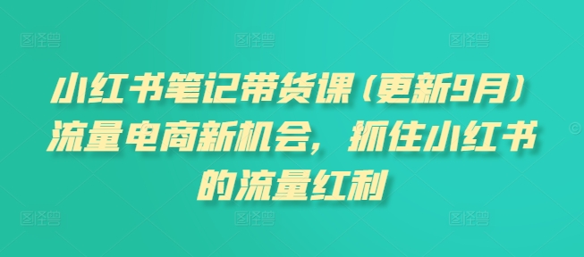 小红书笔记带货课(更新25年5月)流量电商新机会，抓住小红书的流量红利-巴七创客网