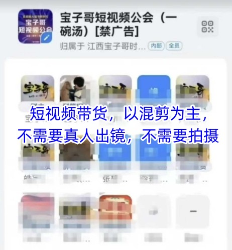 宝子哥头部团队短视频带货，以混剪为主，不需要真人出镜，不需要拍摄【更新】-巴七创客网