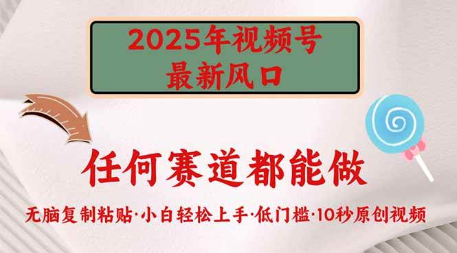 （14453期）2025年视频号新风口，低门槛只需要无脑执行-巴七创客网