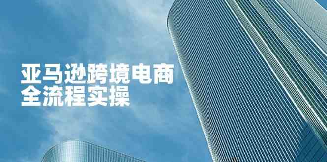 亚马逊跨境电商全流程实操，教你从零开始，掌握店铺运营与广告技巧-巴七创客网