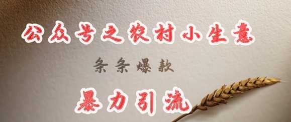 deepseek写农村小项目，条条爆款，暴力引流-巴七创客网