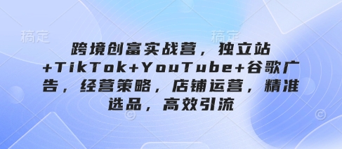 跨境创富实战营，独立站+TikTok+YouTube+谷歌广告，经营策略，店铺运营，精准选品，高效引流-巴七创客网