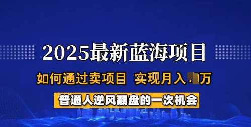 2025蓝海项目，普通人如何通过卖项目，实现月入过W，全过程【揭秘】-巴七创客网