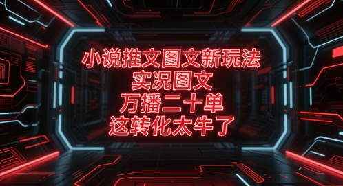 小说推文图文新玩法，实况图文，万播二十单，这转化太牛了！-巴七创客网