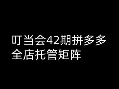 叮当会拼多多打爆班原创高阶技术第42期，拼多多全店托管矩阵-巴七创客网