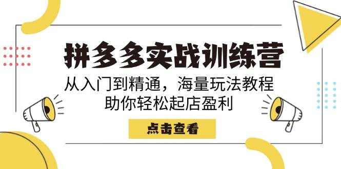 （14392期）拼多多实战训练营，从入门到精通，海量玩法教程，助你轻松起店盈利-巴七创客网