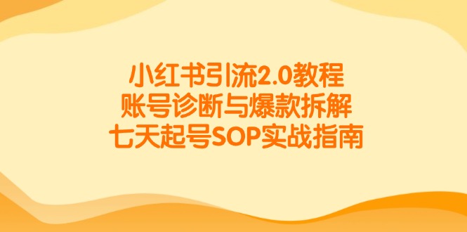 小红书引流2.0教程，账号诊断与爆款拆解，七天起号SOP实战指南-巴七创客网