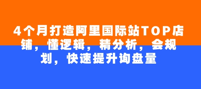 4个月打造阿里国际站TOP店铺，懂逻辑，精分析，会规划，快速提升询盘量-巴七创客网