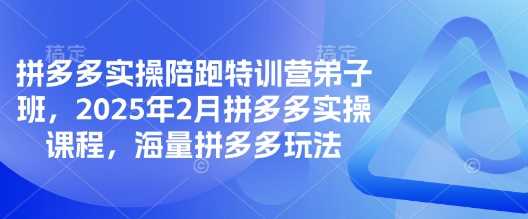 拼多多实操陪跑特训营弟子班，2025年2月拼多多实操课程，海量拼多多玩法-巴七创客网