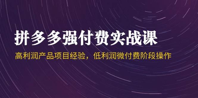 （14874期）拼多多强付费实战课-44期，高利润产品项目经验，低利润微付费阶段操作-巴七创客网