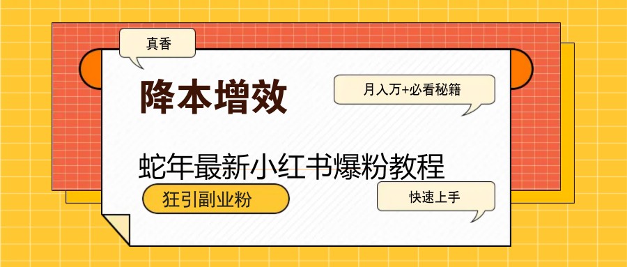 蛇年最新小红书爆粉教程，狂引副业粉，月入万+必看-巴七创客网