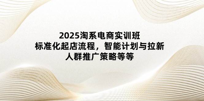 （14522期）2025淘系电商实训班：标准化起店流程，智能计划与拉新，人群推广策略等等-巴七创客网