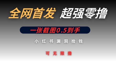 全网首发无限零撸捡钱项目，小红书一张截图0.5元可无限零撸-巴七创客网